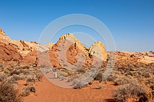 Valley of Fire - Woman hiking in Petroglyph Canyon on Mouse Tank trail in Valley of Fire State Park in Mojave desert, Nevada, USA