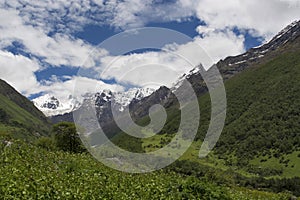 Landscape with mountain backdrop, Valley of Flowers, Uttarakhand, India