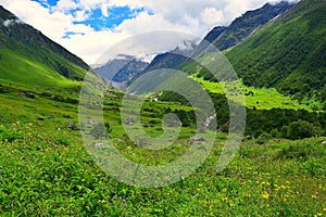 Valley of Flowers National Park, Uttarakhand, India