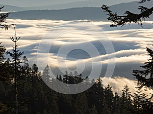 Valley fog in the mountains