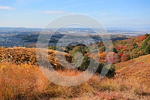 The valley of forest with falling color, in japan nara countryside