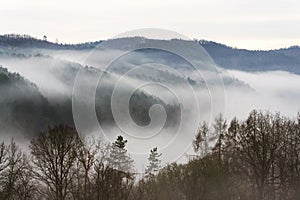 Valley with forest hiding in fog, autumn or winter foggy morning