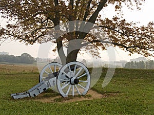 Valley Forge Cannon