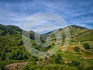 A valley in the French Cevennes
