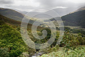 Valley in Galloway forest park