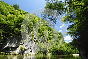 Valley genbi in Iwate,Touhoku photo