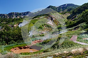 Valley of Geysers. Kamchatka