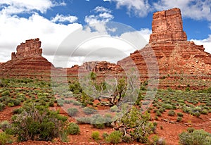 Valley of the gods, southeastern Utah, United States