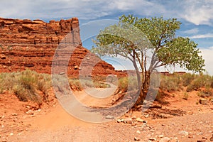 Valley of the Gods, Utah