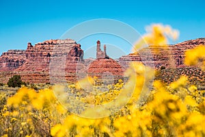 Valley of the Gods, Utah, USA