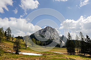 valley with a high rocky mountain trees and green meadow on the wurzeralm in austria