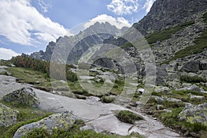 Valley in High Tatras, Mlynska Dolina, wild slovakia highest mountains