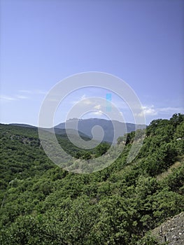 Valley of hills covered with low green forest. In the distance, the silhouettes of high mountains turn blue. Clear blue sky with