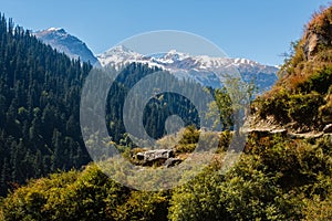 Valley in himalayan mountains coverd with forest in sunshine