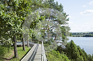 The Valley Of Junipers Wooden Path