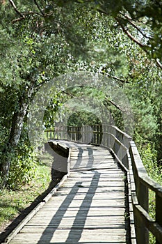 Valley of Junipers Wooden Path In Lithuania