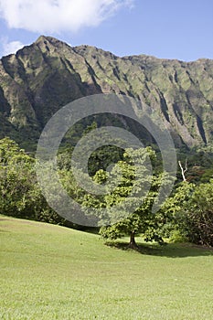Valley by the Ko'olau Mountains on Oahu