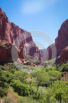 Valley in Kolob Canyon
