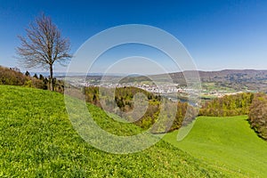 Valley of Limmat overlook