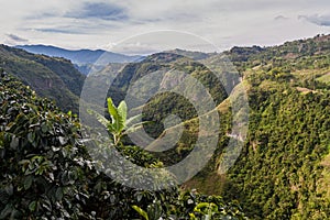 Valley of Magdalena river