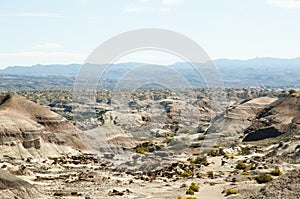 Valley of the Moon - Ischigualasto Provincial Park - Argentina