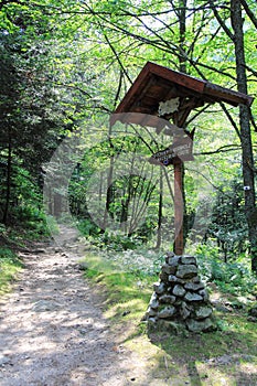 Valley of Munster in Alsace