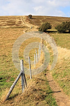 Valley of Munster in Alsace