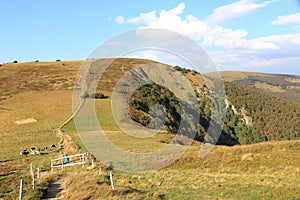 Valley of Munster in Alsace