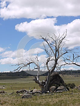 The valley near Cooma in Victoria in Australia