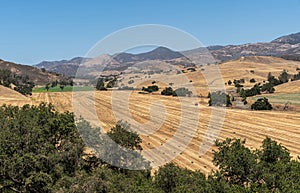 Valley outside San Lorenzo Seminary, Santa Inez, CA, USA