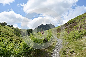 Valley path looking to a distant Ard Crags, Lake District