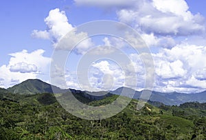 The valley of Rio Venado photo