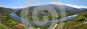 Valley of river Douro with vineyards near Mesao Frio Portugal