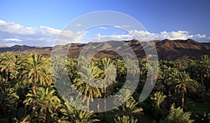 The valley of the river Draa, Morocco, Africa