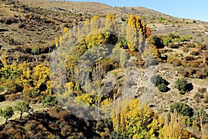 Valley of the river Gor, by the Juntas de Gor, Granada. photo