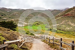 Valley road in the Headlands area on a foggy summer day, Golden Gate National Recreation Area, Marin County, California