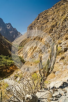 Valley between rocks photo