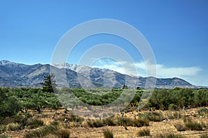 A valley and rocky peaks in the Lefka Ori mountains on the island of Crete photo