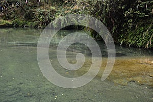 The valley is seamed with small streams of water. photo