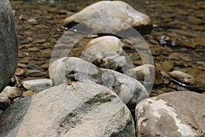 The valley is seamed with small streams of water. photo