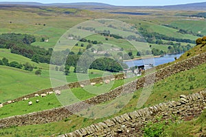 A valley with Sheep and Gouthwaite Reservoir in the Background.