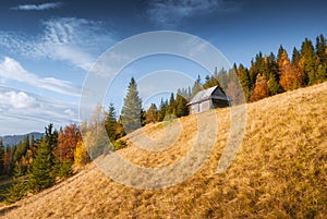 Valley with shepherd`s wooden house