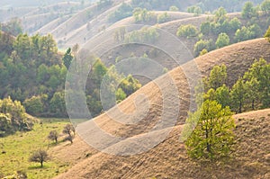 Valley between small hills covered with yellow grass