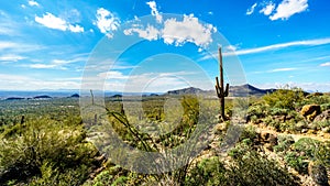 The Valley of the Sun with the city of Phoenix viewed from Usery Mountain Reginal Park