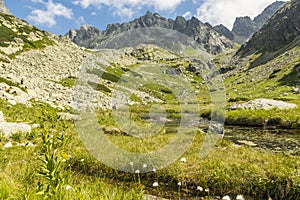 Valley in Tatra Mountains - Dolina Zlomisk (Zlomiska, Zlomiskova dolina, Zlomiska, dolina Zlomisk)