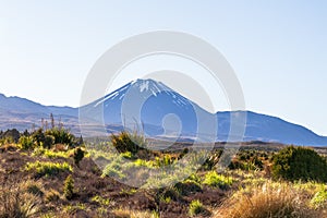 Valley of Three Volcanoes. North Island. New Zealand