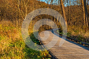 Cuyahoga Valley wetlands boardwalk photo