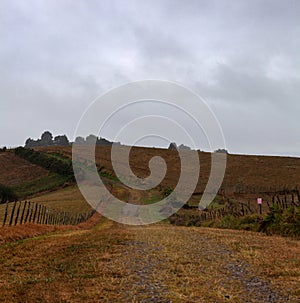 Valley under mist in the morning Amazing nature scenery along the Chemin du Puy