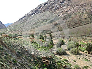 The valley of Vega de Rio Palmas on Fuerteventura