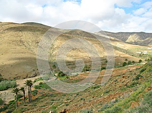 The valley of Vega de Rio Palmas on Fuerteventura